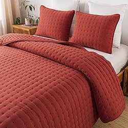 WDCOZY Burnt Orange Twin Size Quilt Bedding Sets