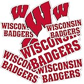 Desert Cactus University of Wisconsin Sticker Wisconsin Badgers Vinyl Decal Laptop Water Bottle Car Scrapbook Sheet (Type 3-4)