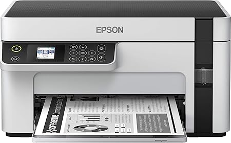 epson eco jet