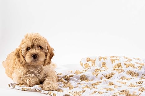 mud pie doodle swaddle