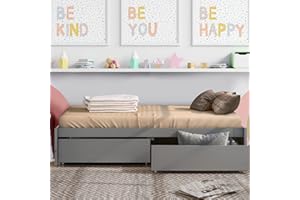 ROCKINGRUN Twin Bed with 2 Storage Drawers, Solid Pinewood Twin Size Bed Frame,for Boys/Girls/Teens Bedroom, Easy to Assemble, No Box Spring Needed,Grey