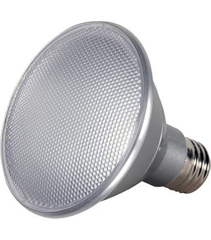 Satco S9415 Par30 Short Neck LED 2700K 40' Beam Spread Medium Base