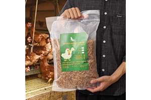 WAMSOFT Non-GMO Dried Mealworms,2LB 100% Natural Large Size No Moisture,Treats for Birds Chickens Hedgehog Hamster Fish Reptile Turtles