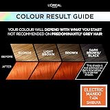 L'Oreal Paris Preference Vivids Electric Mango 7.46 Hair Colour 1 Pack view 2