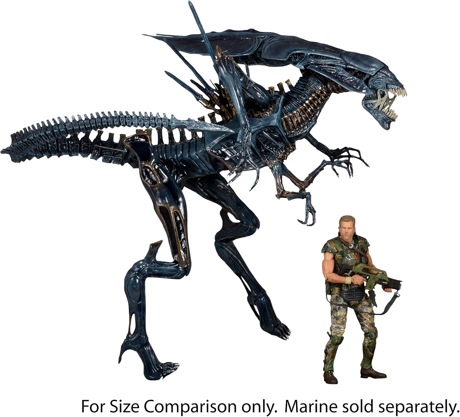 Figurine reine alien Clearance