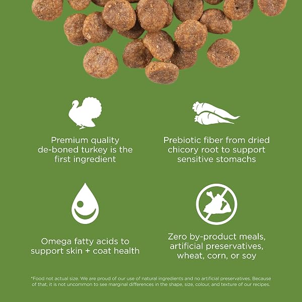 GO! SOLUTIONS SENSITIVITIES LIMITED INGREDIENT TURKEY GRAIN-FREE DRY DOG FOOD, CHICKEN-FREE KIBBLE MADE BY EXPERTS FOR SENSITIVE STOMACHS & FOOD ALLERGIES, FOR PUPPIES, ADULTS, & SENIORS, 3.5 LB BAG