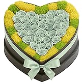 Moss Heart 30 Preserved Roses in Heart-Shaped Box, Real Forever Roses Home Décor Arrangement, Long-Lasting 1+ Year, No Watering, Valentine’s Day, Birthday for Wife, Girlfriend