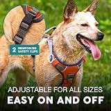 Embark Pets No-Pull Dog Harness Front & Back Leash Clips Adjustable Paw view 5