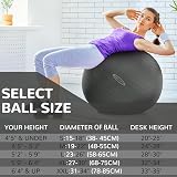 Fitvids Signature Anti-Burst Exercise Ball 2000 lb 19-22 in M Quick Pump view 2