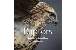Raptors: Portraits of Birds of Prey