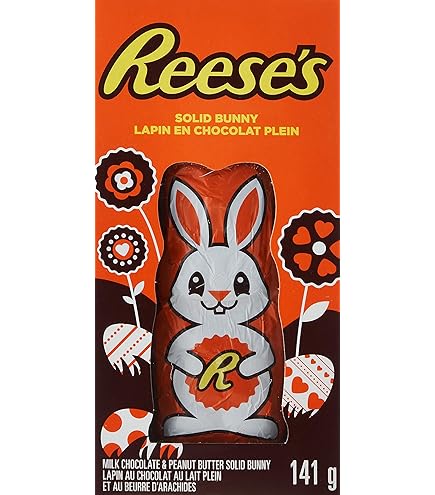 Allan Mr. Solid Chocolate Easter Bunny, 150 Gram : Amazon.ca