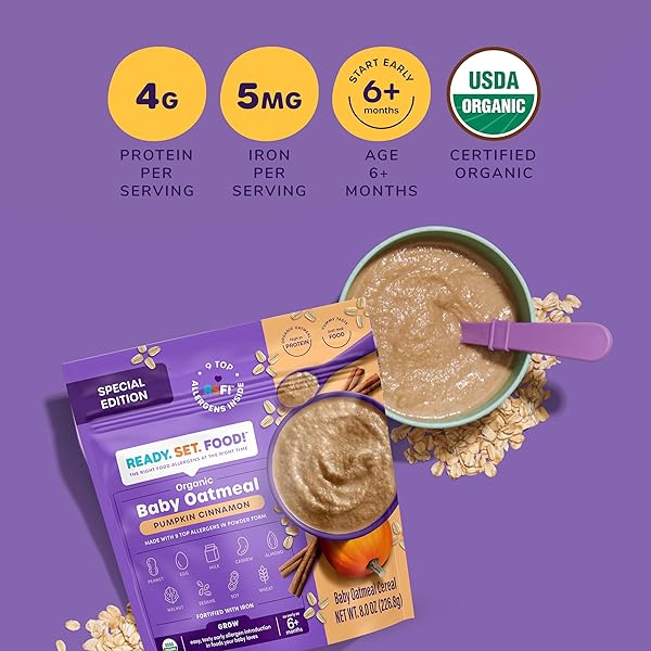 READY SET FOOD ORGANIC BABY OATMEAL CEREAL – SAFE & EASY EARLY ALLERGEN EXPOSURE FOR BABIES 6+ MONTHS, ORGANIC BABY FOOD WITH 9 TOP ALLERGENS: ORGANIC PEANUTS, MILK, EGGS, CASHEWS & MORE (15 SERVINGS) (PUMPKIN CINNAMON)