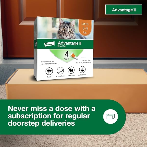 ADVANTAGE II SMALL CAT VET-RECOMMENDED FLEA TREATMENT & PREVENTION | CATS 5-9 LBS. | 4-MONTH SUPPLY