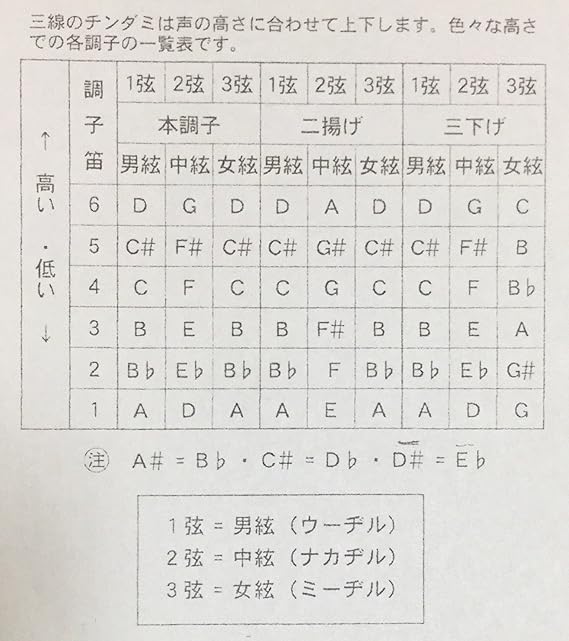 Amazon 三線 調弦用クリップチューナー ヤイリー 三線 楽器