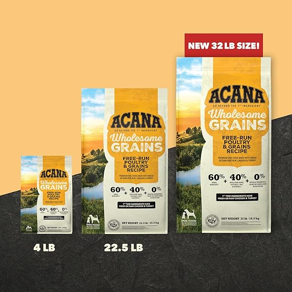 ACANA WHOLESOME GRAINS DRY DOG FOOD FREE-RUN POULTRY & GRAINS RECIPE WITH CAGE-FREE EGGS 4LB BAG