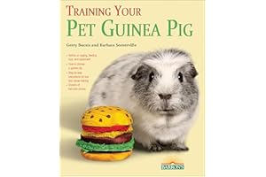 Training Your Guinea Pig (Training Your Dog Series)