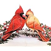 SOUL POP UP 3D Pop Up Valentines Day Card Cardinal Birds Couple on Snowy Branch - Romantic Valentine Pop Up Card for Wife, Girlfriend, Nature & Bird Lovers - Anniversary Birthday Gift