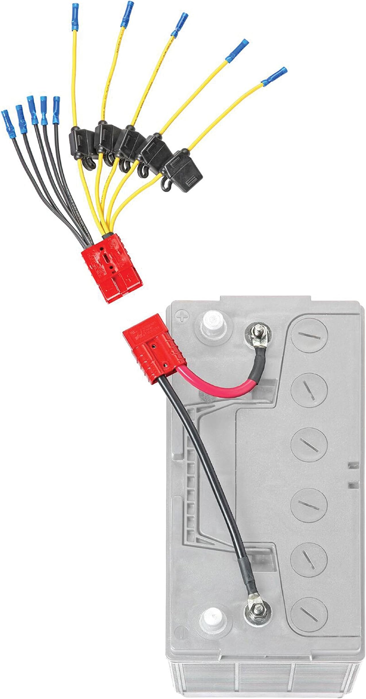12V Battery Connector Kit CE12VB5FK | Easy 5-Lead Fused System for Any Marine Electronics | Power Depth Finders, GPS Units, Pumps & More | Marine-Grade UL1426 Wire | Battery NOT Included