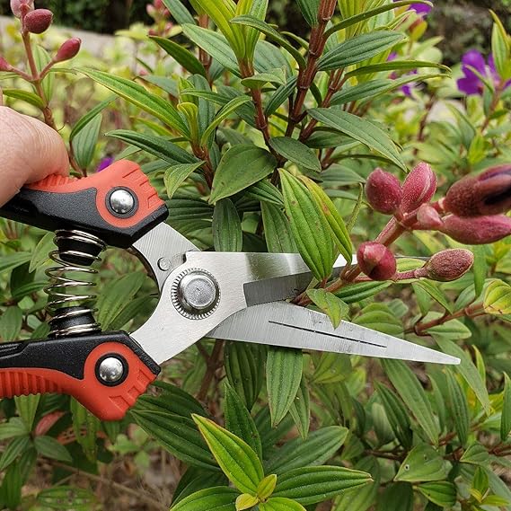 TECOOL Secateurs Pruning Shears Bypass,Heavy Duty Garden Scissors Prime