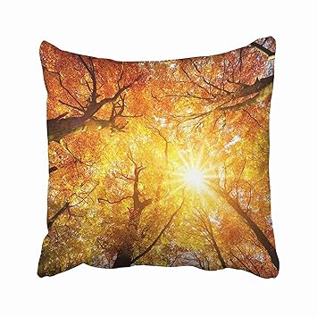 Amazon Com Jbralid Pillowcase Orange Fall Autumn Sun Warmly