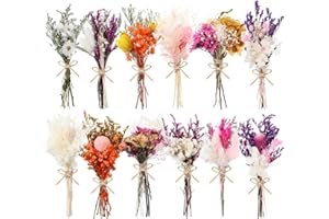 WGXX 10/12/24 Pack Dried Flowers for Vase Various Mini Bouquet Dried Small Wildflowers Natural Real Flowers Bulk for Crafts DIY Wedding Decor (12, Flowers Blooming1)