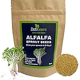 Premium USA Alfalfa Seeds for Sprouting