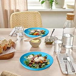 Homienly Wheat Straw Plates, 10 inch Deep Dinner