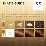 L'Oreal Paris Preference 5.3 Virginia Hair Dye Permanent Color Shine Oil view 6