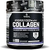 SASCHA FITNESS Hydrolyzed Multi Collagen Peptides Tipes 1,2 & 3 |Hyaluronic Acid|Biotin Cynatine HSN|Vitamin C & E |for Hairs, Skin & Bone Support|Chocolate Flavor