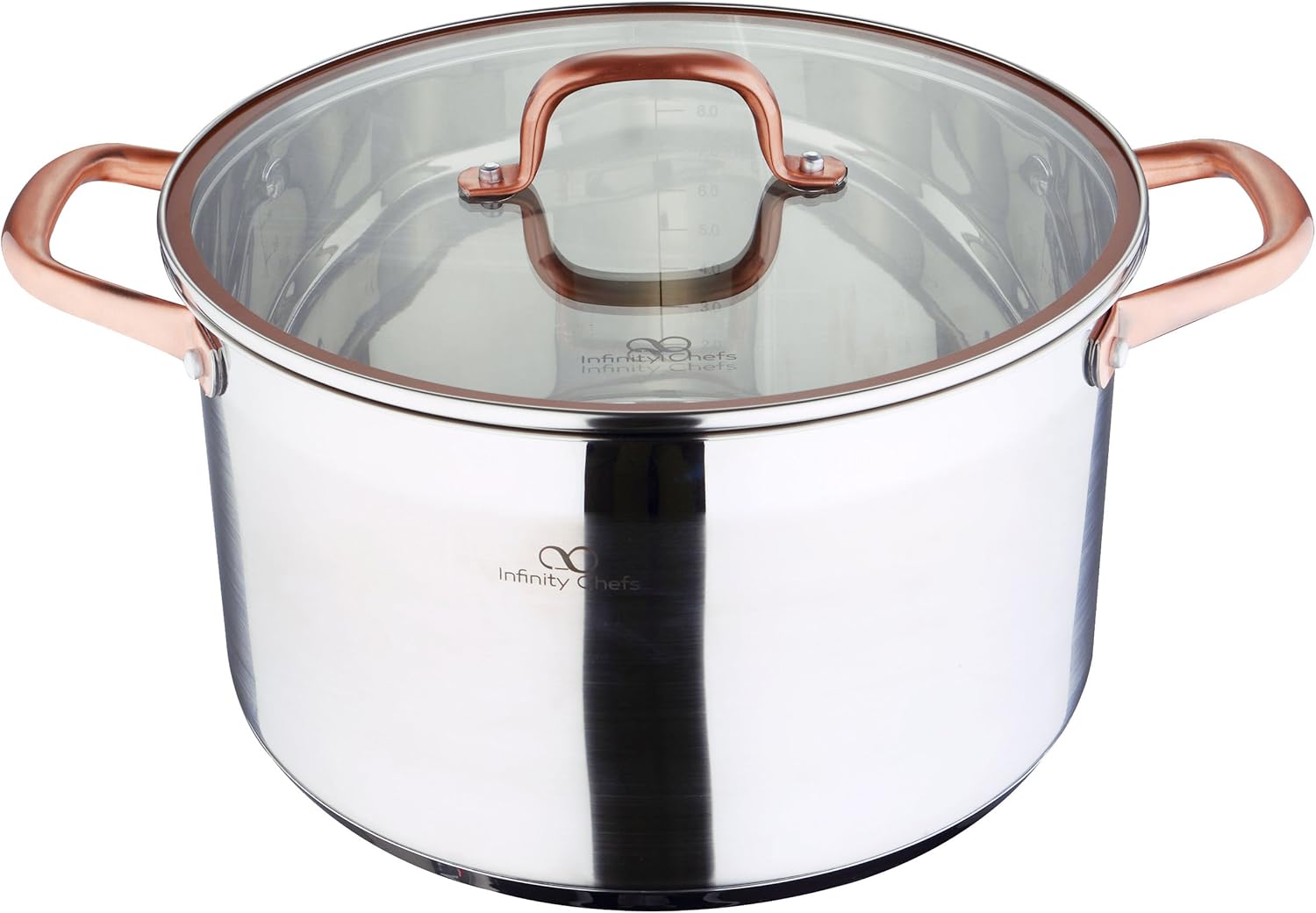 Infinity Chef Chef Stock Pot with Lid, Silver, 9.5 Litre/28 x 16.5 cm