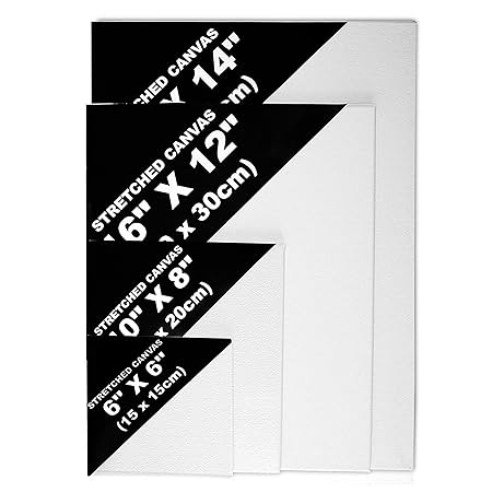 BELLE VOUS 4 Stücke Leinwand Set - Leinwand Keilrahmen mit Hölzernen Keilen Leinwandbilder zum Bemalen - Leinwand Malen - Kün