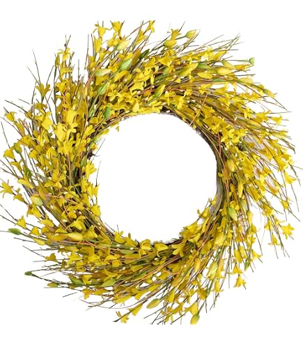 TEMPUS 18" Artificial Forsythia Wreath - Yellow Spring & Summer Door Wreath For Farmhouse Decor