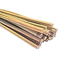 Dlh Western Natural Bamboo Poles, Eco-Friendly Plant Support Garden Stakes 4ft Long, Diameter of 1/2" (25-Count)