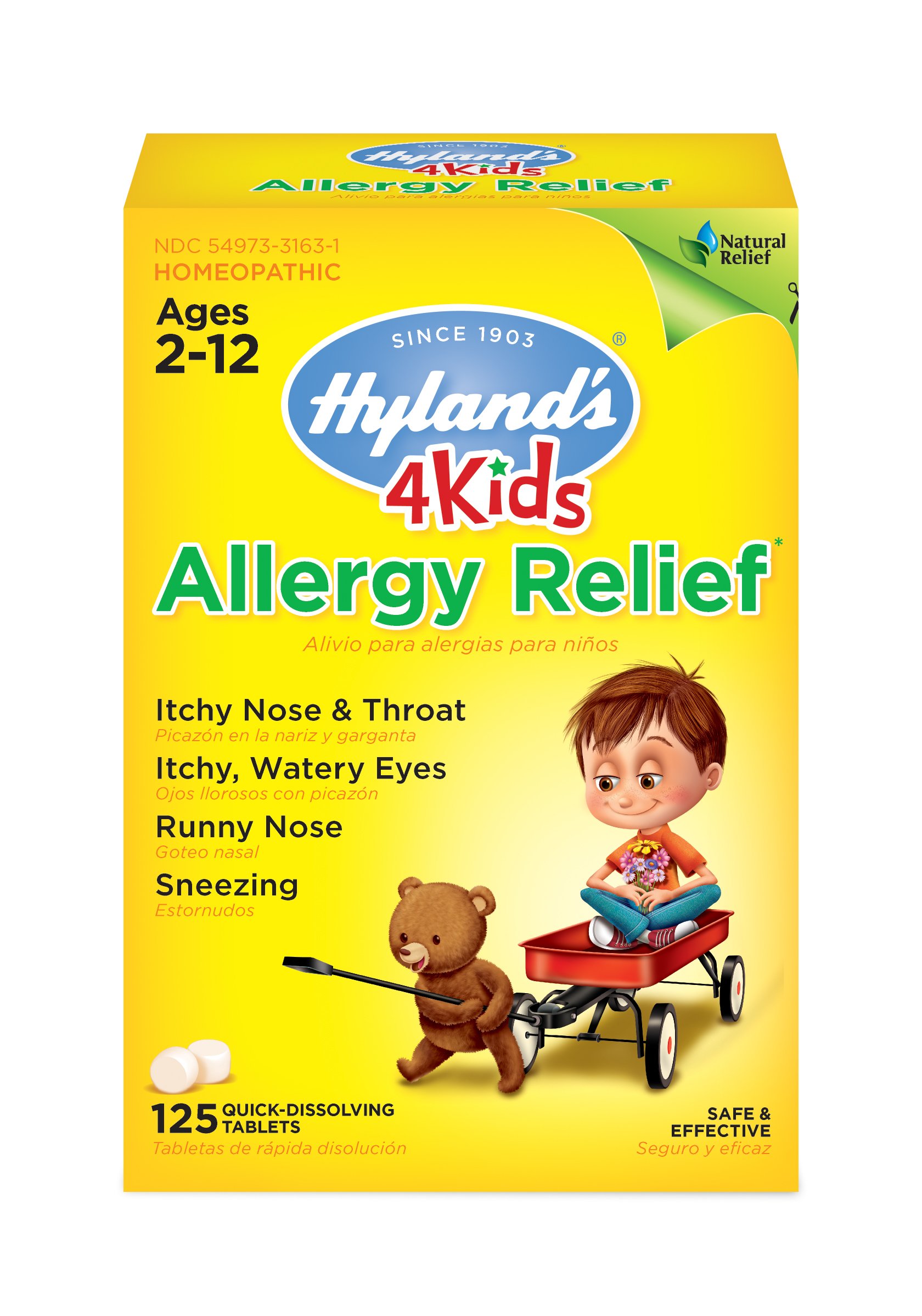 Mua Childrens Allergy Medicine by Hyland's 4 Kids Allergy Relief