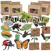 Mbrain Life Cycle Learning &amp; Education Toys,Montessori Toys Figurines for Frog, Butterfly, Ladybug,Plants Kit,Gift for Girl &amp; Boy for 3 4 5 Year Old