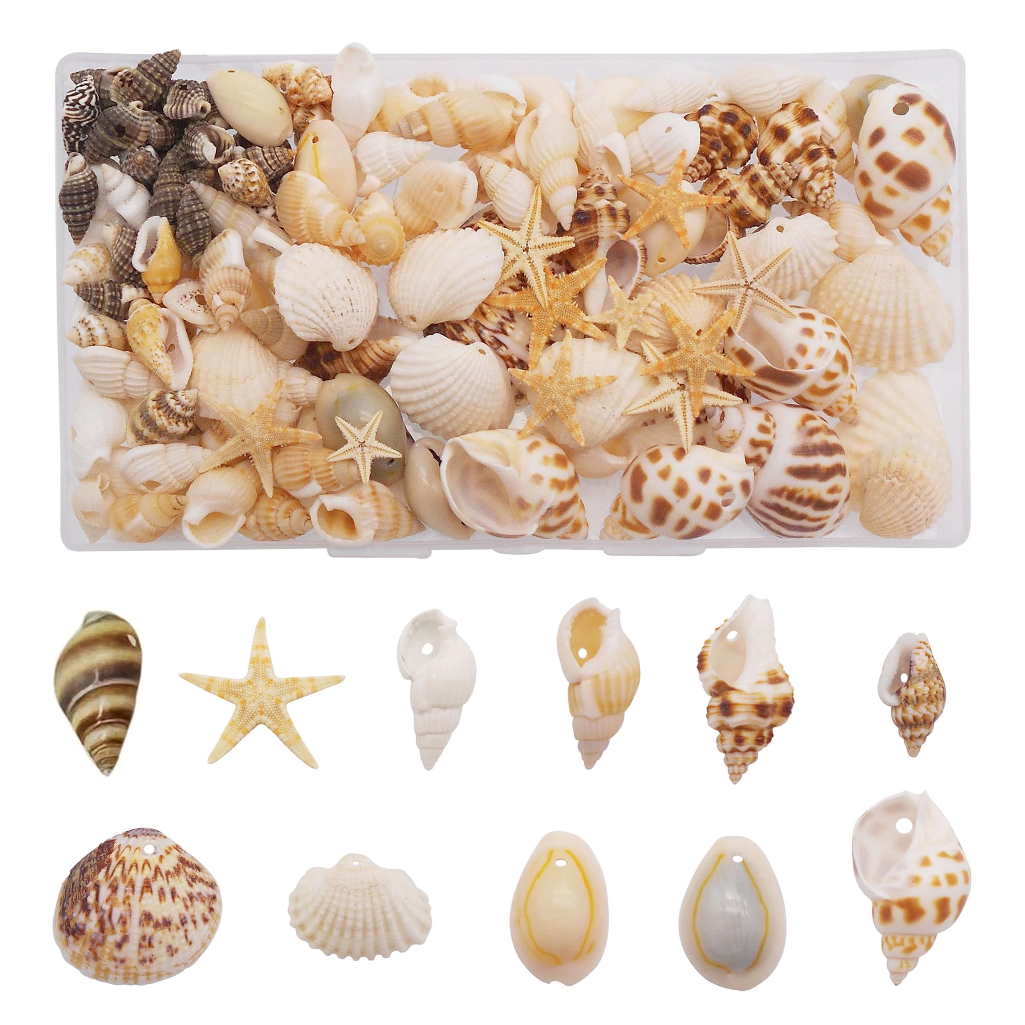 Photo 1 of yaokan 130PCS/Box Mixed Lots Sea Shell Cowrie Conch Starfish Ocean Beach Spiral Seashell with Hole for Resin Craft Candle Making Wishing Bottle Wedding Home Fish Tank Decoration