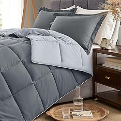 Homelike Moment Queen Comforter Set
