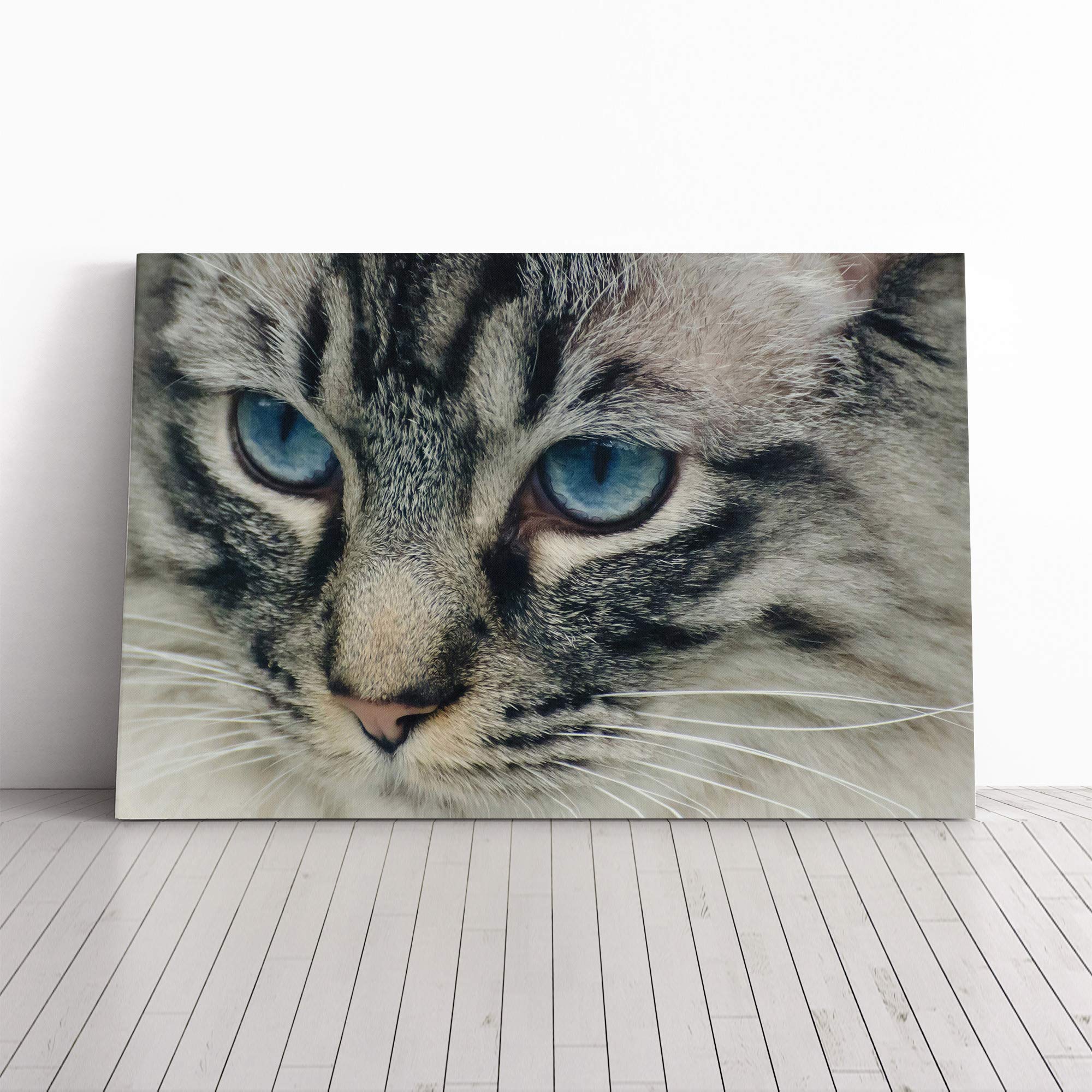 Cat Eyes (13) Canvas Print | Gallery Wrapped 30mm Frame Wall Art | 20x14 inches | Ready to Hang | Modern Animals Picture | Living Room Bedroom Lounge Office