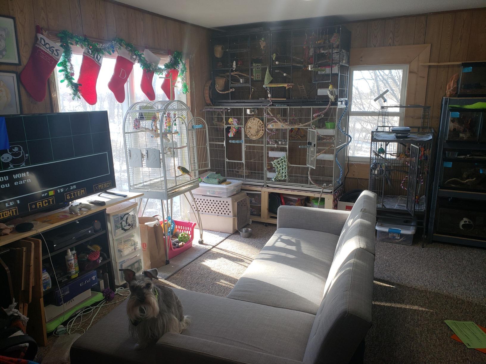 54/mo Finance DHP Haven Small Space Sectional Futon Sofa, Blue Linen Buy Now, Pay Later