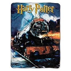 Northwest Harry Potter Micro Raschel Throw