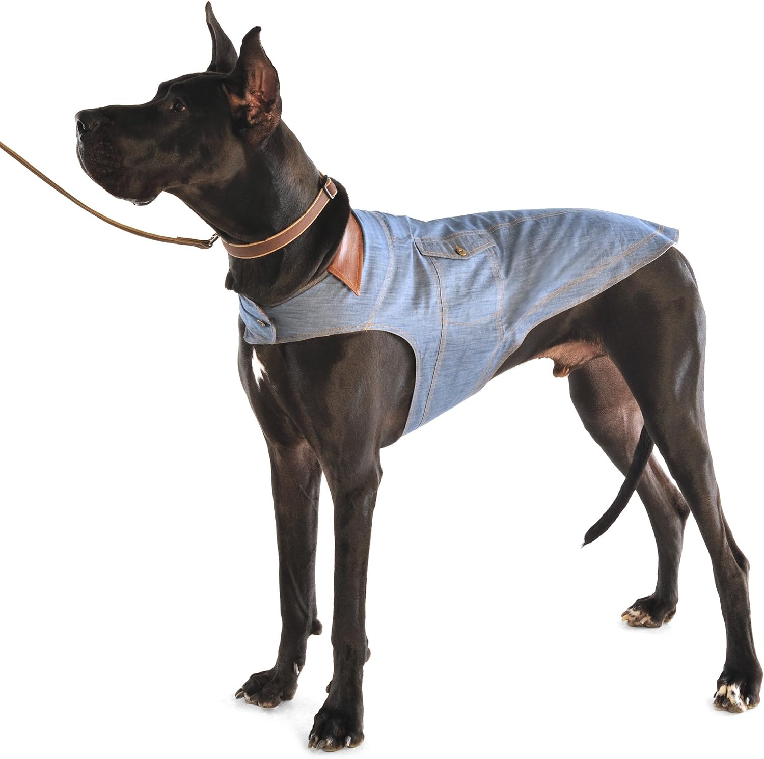 dog jean jacket amazon
