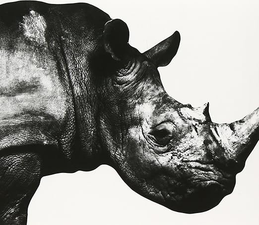 Mr Children Mr Children 1992 1995 Amazon Com Music Mr Children Mr Children 1992 1995 Amazon Com Music
