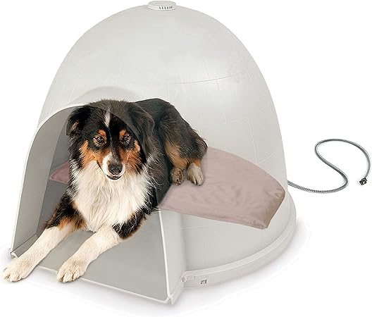 dog igloos amazon