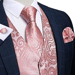 DiBanGu Mens Vest and Tie Set Formal Paisley