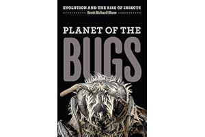 Planet of the Bugs: Evolution and the Rise of Insects
