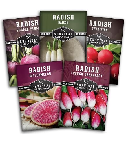 Amazon.com : 1 lb (29,000+ Seeds) Japanese Daikon - Daikon Radish