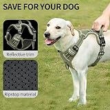 HEELE Dog Harness Small Reflective No-Pull Adjustable Padded Green view 4