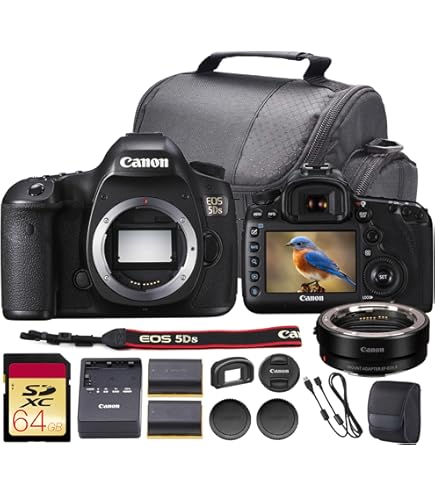Amazon.com : Canon EOS 5DS R Digital SLR with Low-Pass Filter