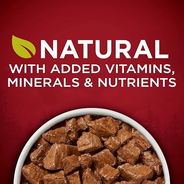 PURINA ONE HIGH PROTEIN WET DOG FOOD TRUE INSTINCT TENDER CUTS IN DOG FOOD GRAVY WITH REAL CHICKEN AND DUCK – (PACK OF 12) 13 OZ. CANS