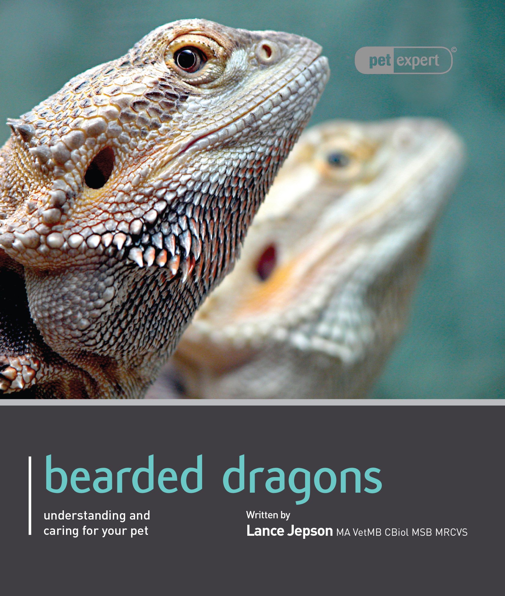 Bearded Dragon - Pet Expert: Understanding and Caring for Your Pet  Paperback – 1 Sep 2011